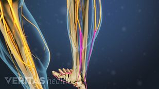 Ciatica online ejercicios fisioterapia para la